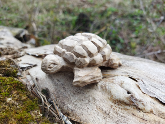 Handmade wooden turtle figurine. Wood carving.